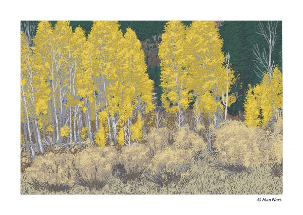 Aspen Grove