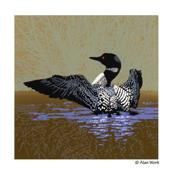 Courting Loon