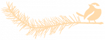 CW-logo_alt